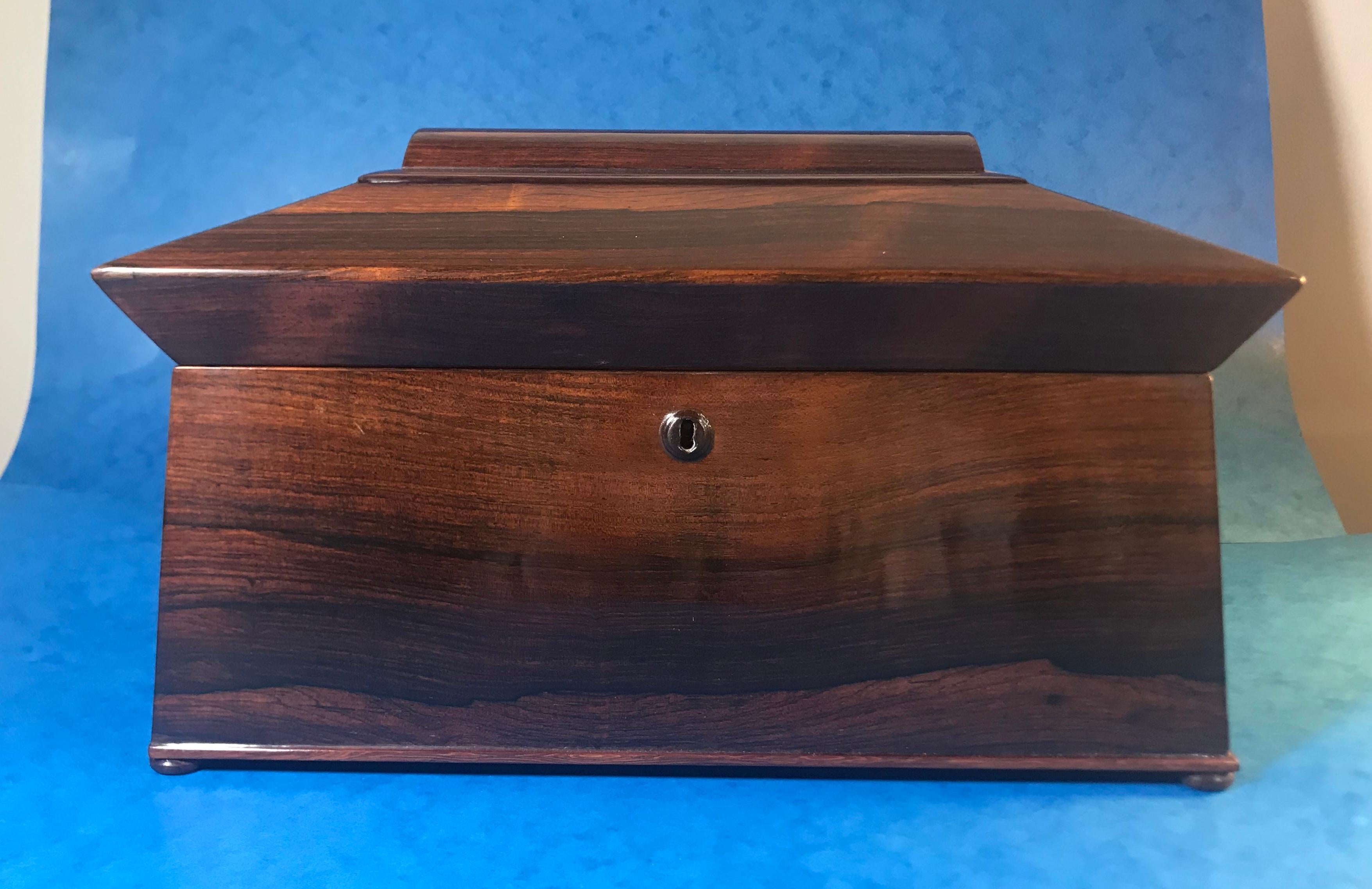 English William IV Rosewood Sarcophagus Tea Caddy For Sale