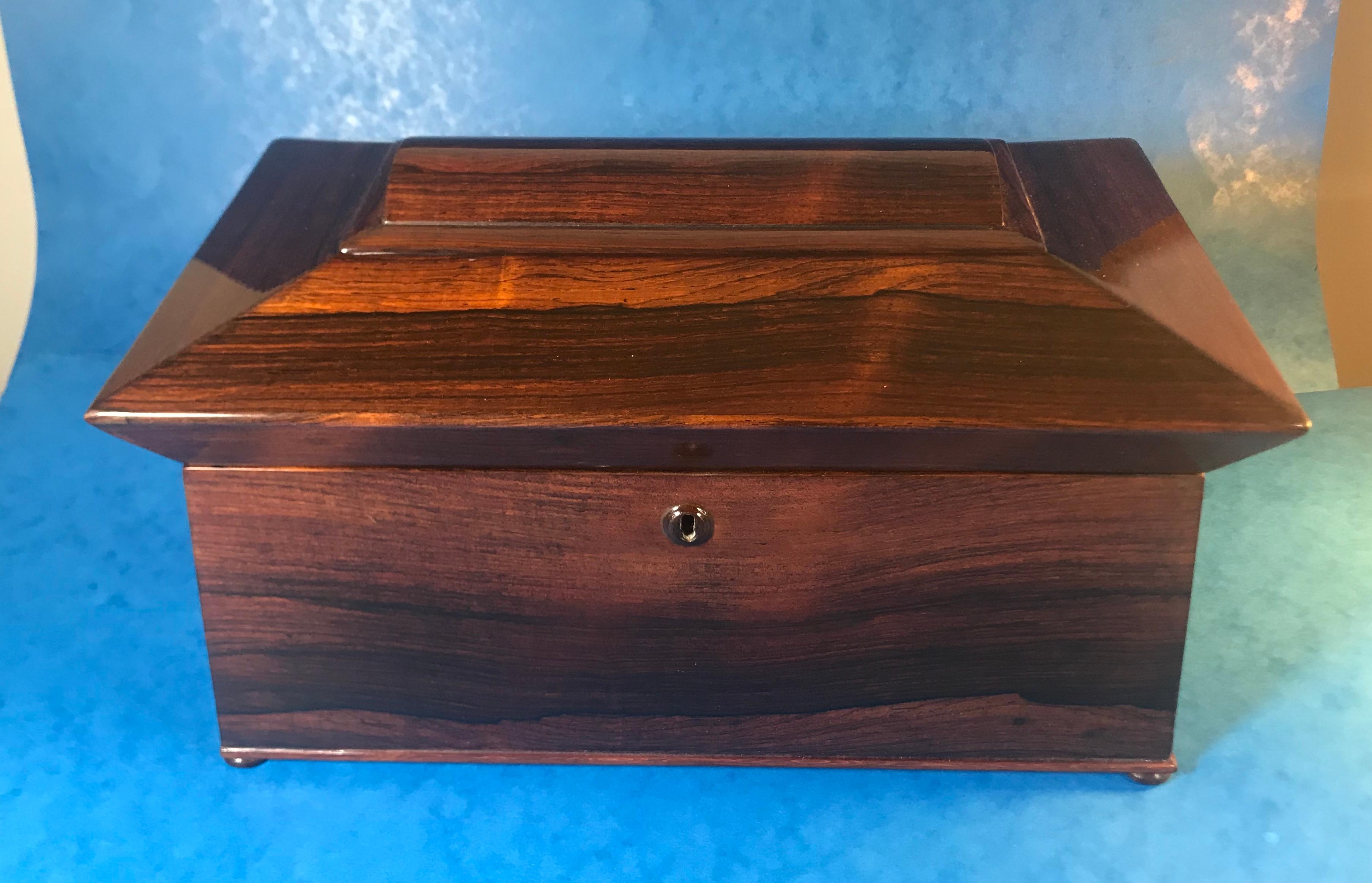 William IV Rosewood Sarcophagus Tea Caddy In Good Condition For Sale In Windsor, Berkshire