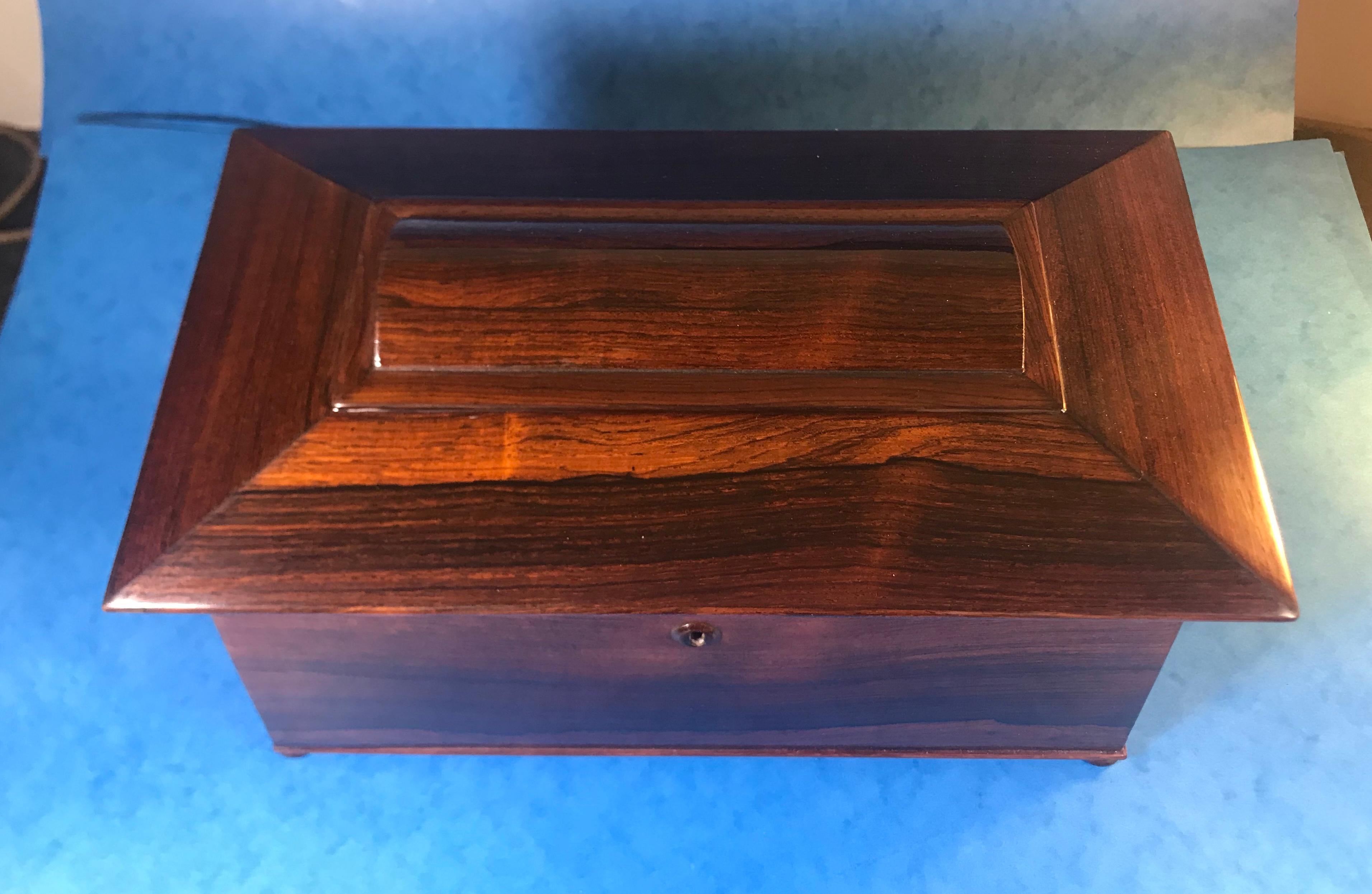 19th Century William IV Rosewood Sarcophagus Tea Caddy For Sale