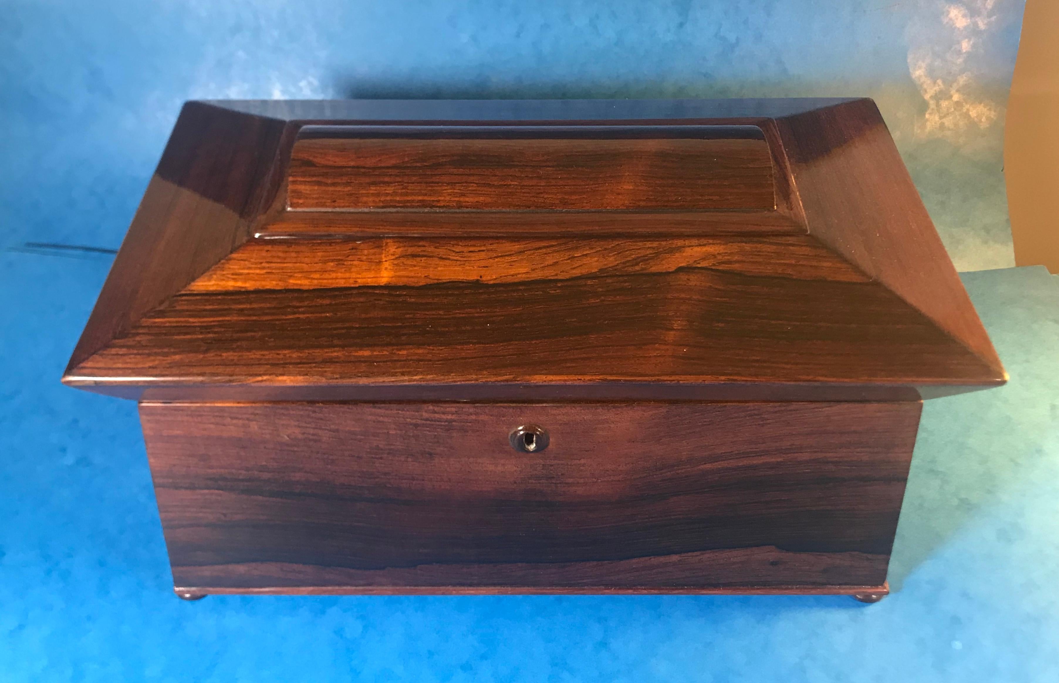 William IV Rosewood Sarcophagus Tea Caddy For Sale 2