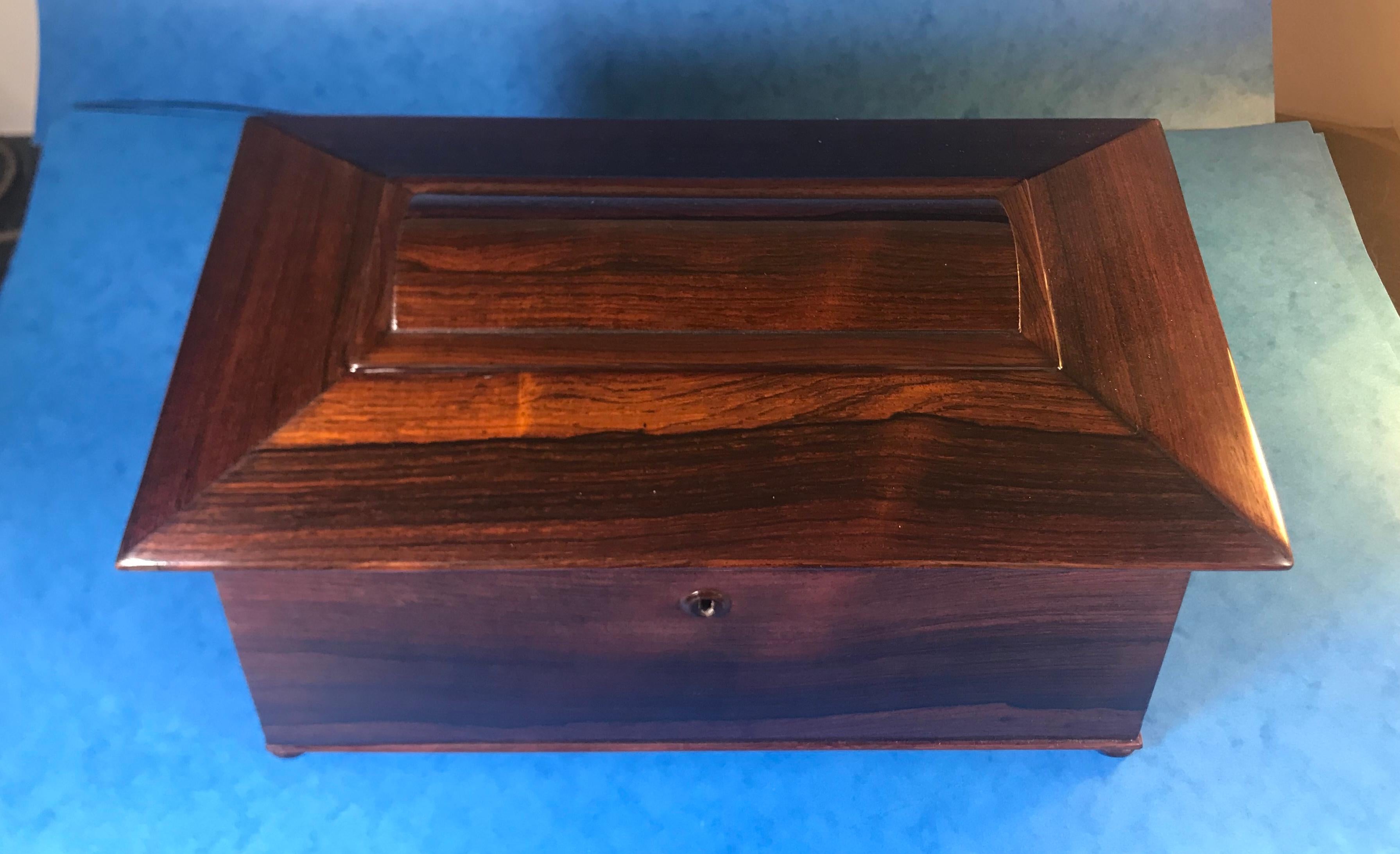 William IV Rosewood Sarcophagus Tea Caddy For Sale 3