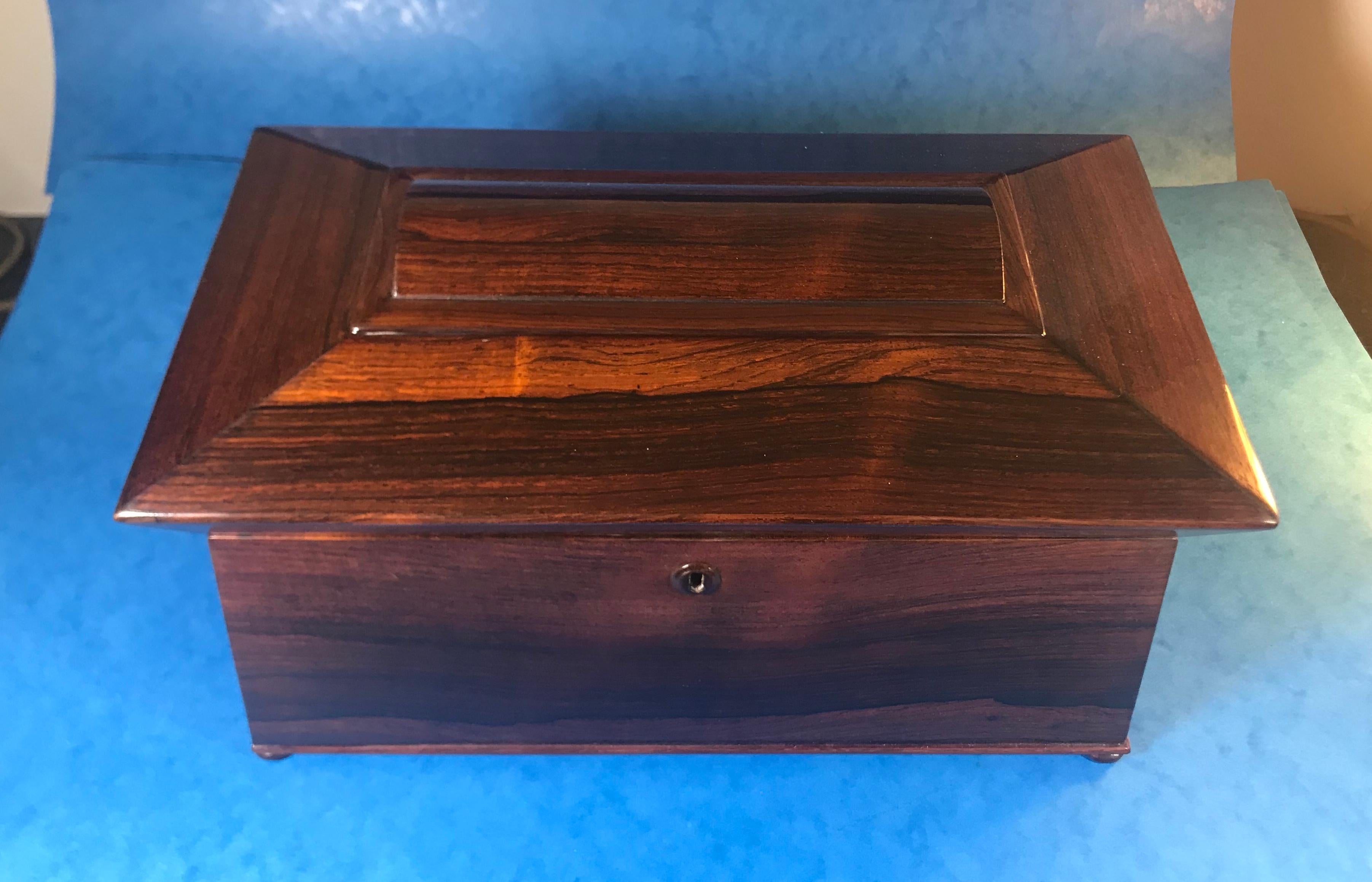 William IV Rosewood Sarcophagus Tea Caddy For Sale 4
