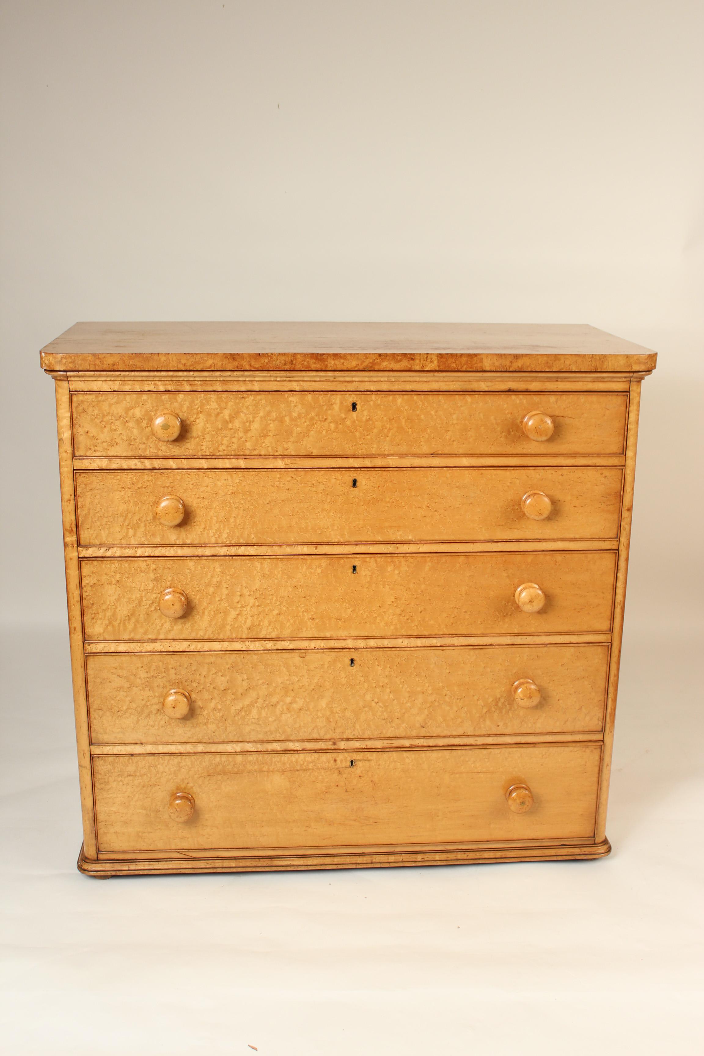 William IV style bird's-eye maple five drawer chest of drawers, circa 1920. Nice color bird's-eye maple. This chest has clean simple lines that would go well in either a contemporary or traditional interior.