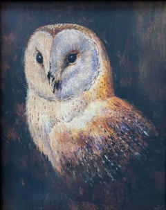 Follower of William James Webb, Study of a barn owl