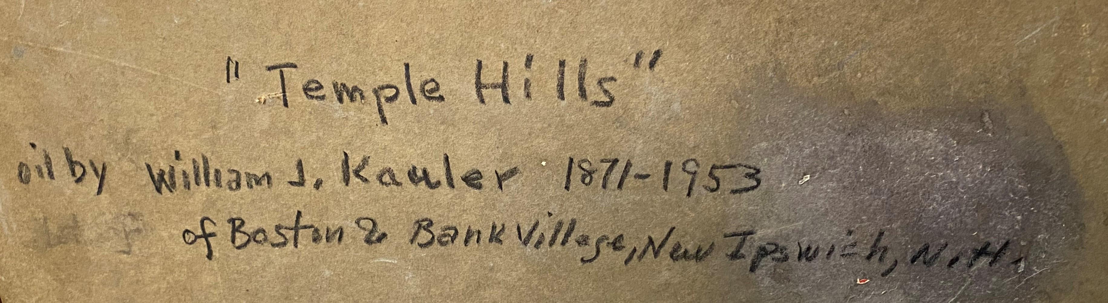 Temple Hills in vendita 4