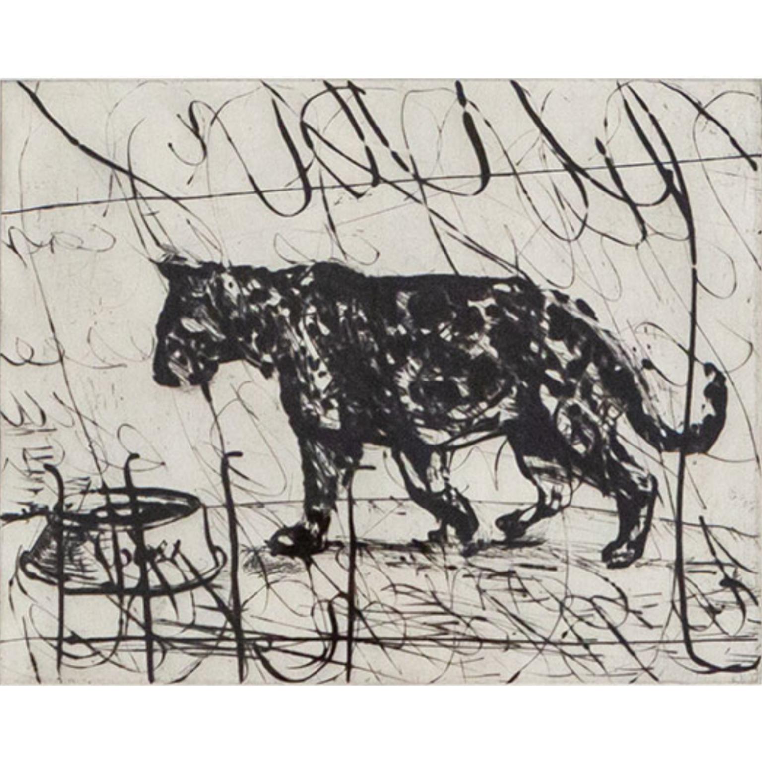 Pacing Panther - Print by William Kentridge