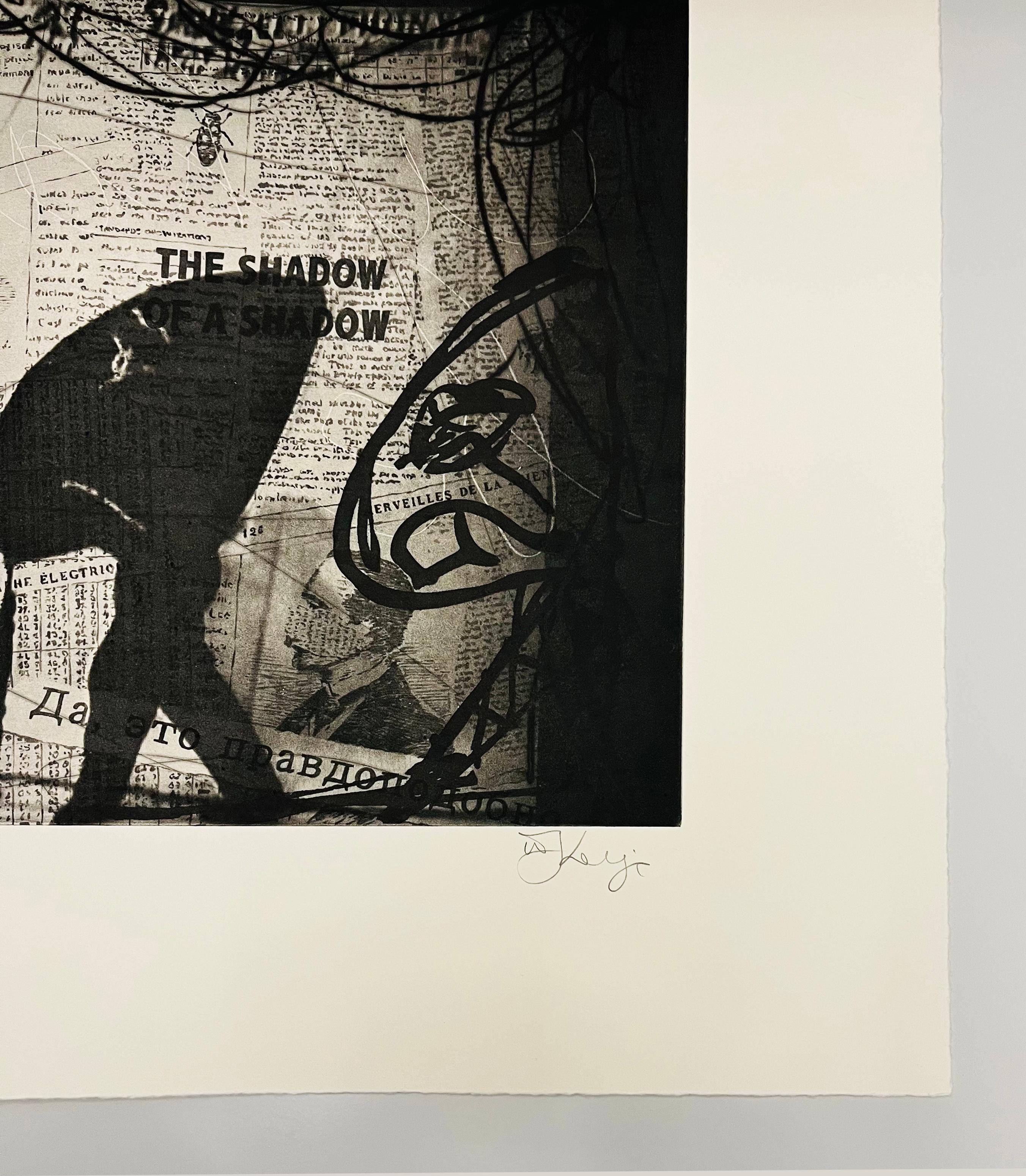 This is a monochromatic photogravure, aquatint and drypoint on Hahnemuhle Copperplate warm white paper. Created in 2010, it is signed in pencil lower right and numbered from the edition of 70. The image dimensions are 10 5/8 by 16 5/8 inches. The