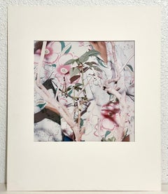 William Larson Vintage Conceptual Abstract Photograph Dye Transfer Color Photo