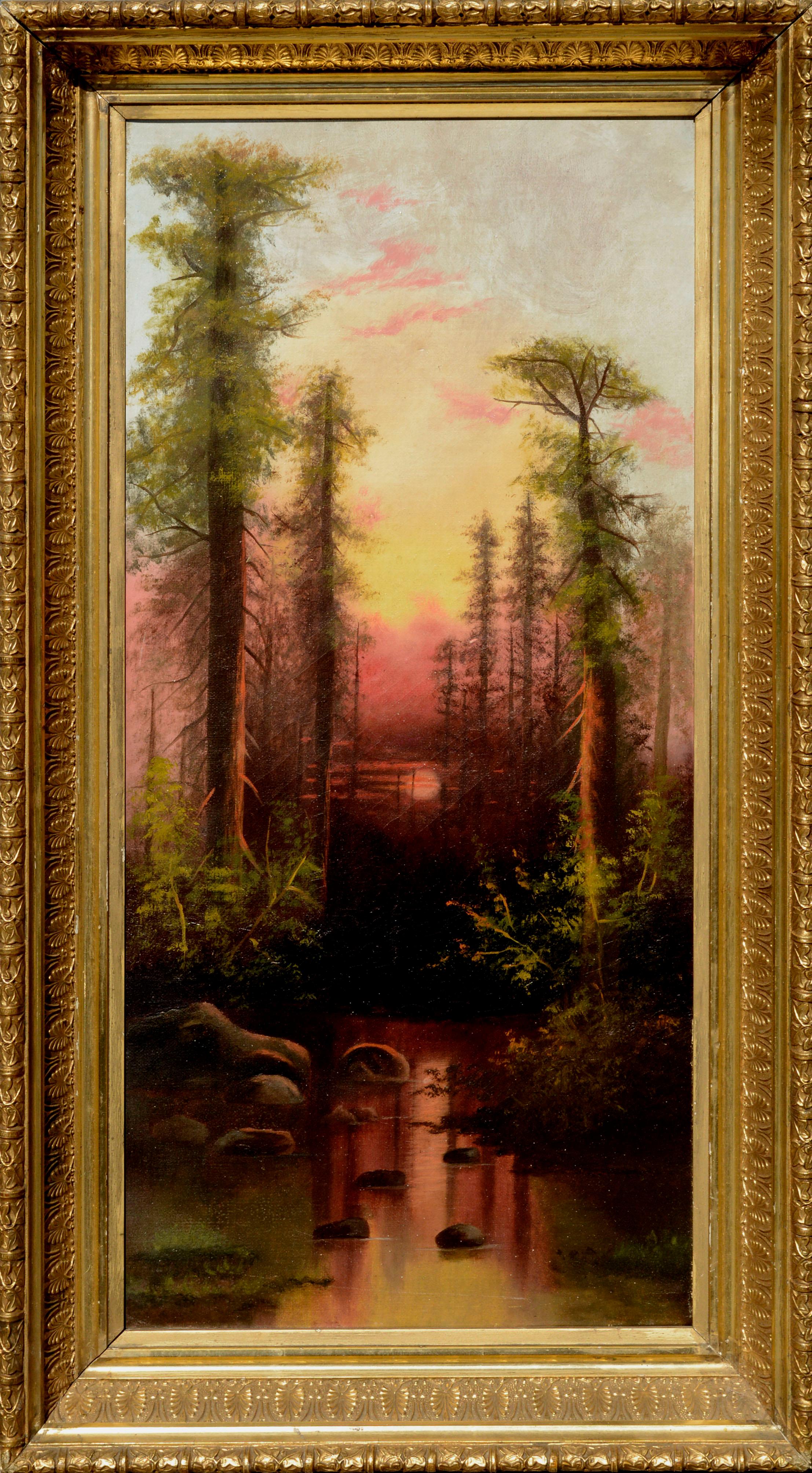 Early 20th Century Redwood Forest Sunset Reflections Landscape