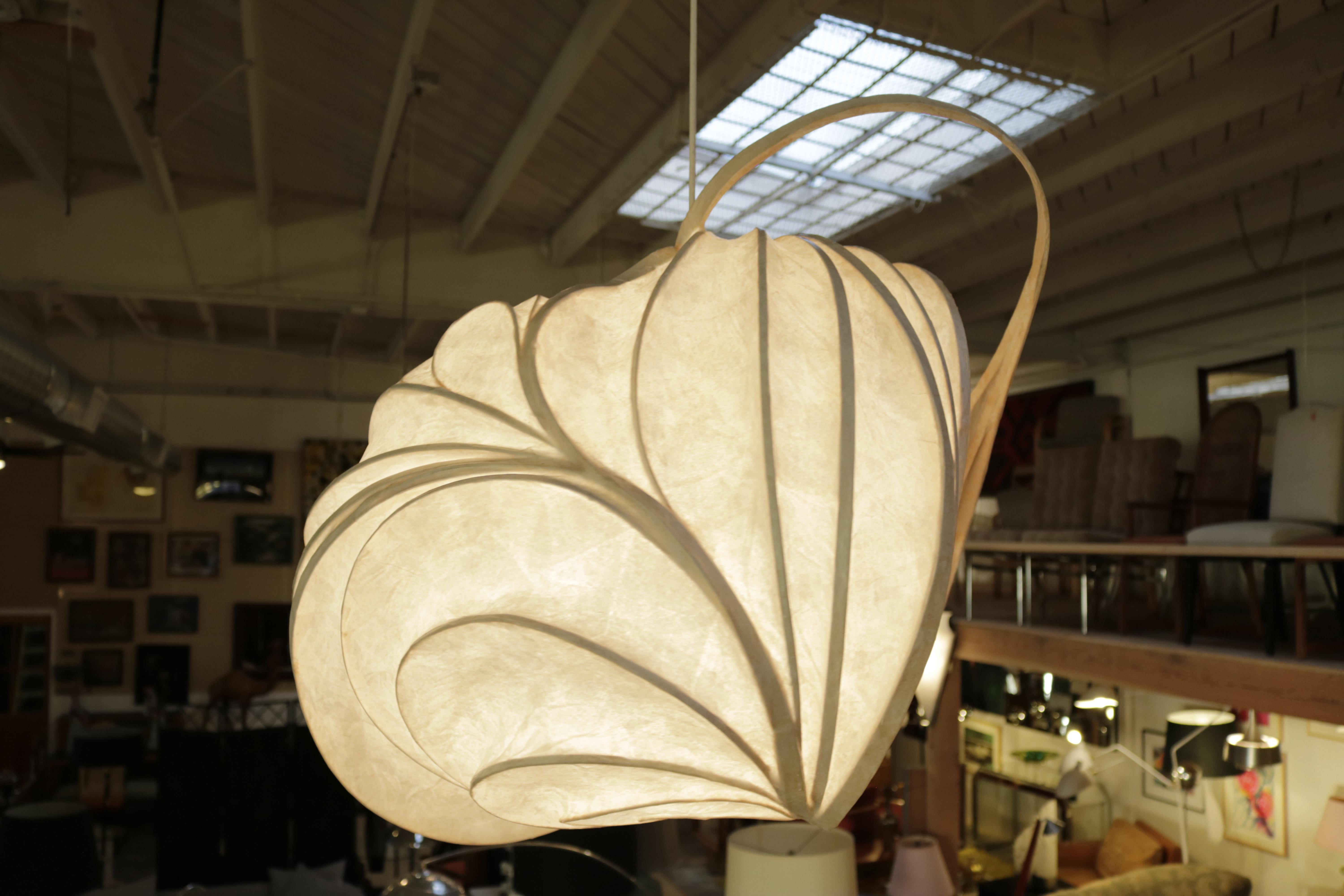 organic light fixture