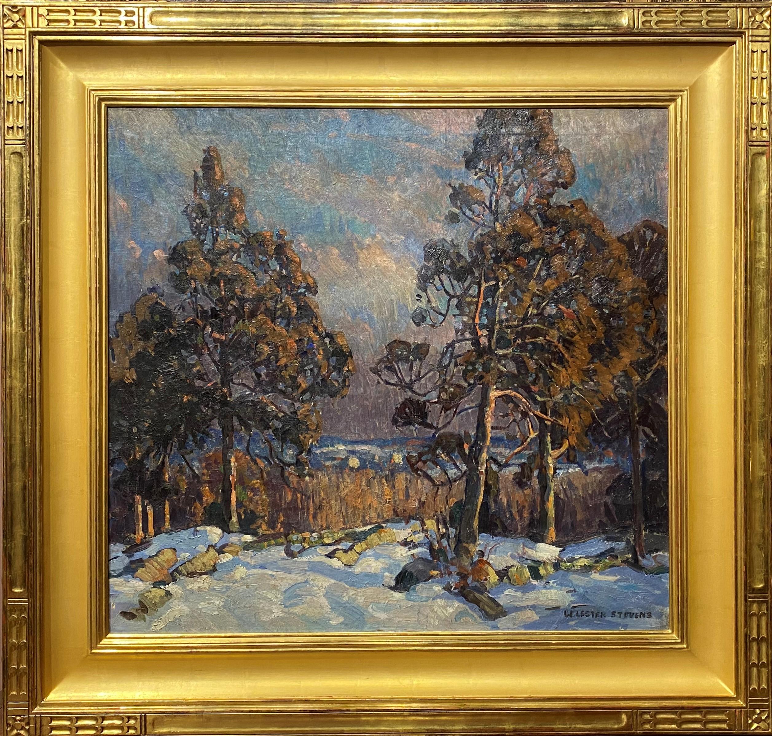 Paesaggio invernale con alberi