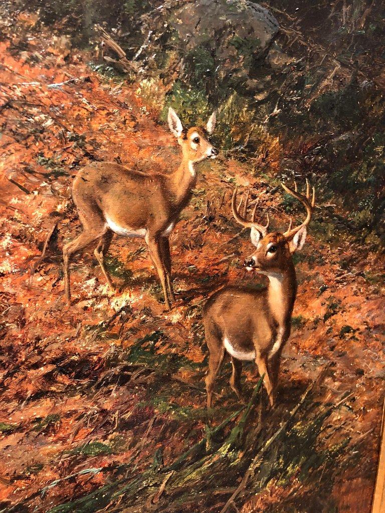 Deer in the White Mountains - Painting by William Louis Sonntag Sr.
