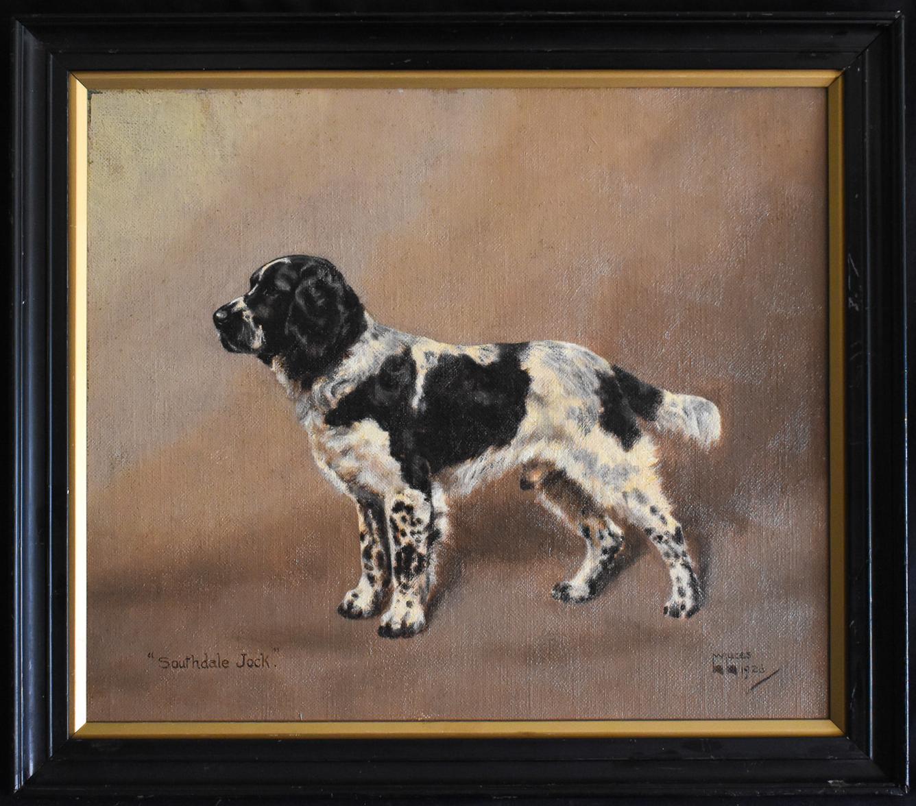 Southdale Jock", che si pensa sia uno springer spaniel di campagna o inglese.