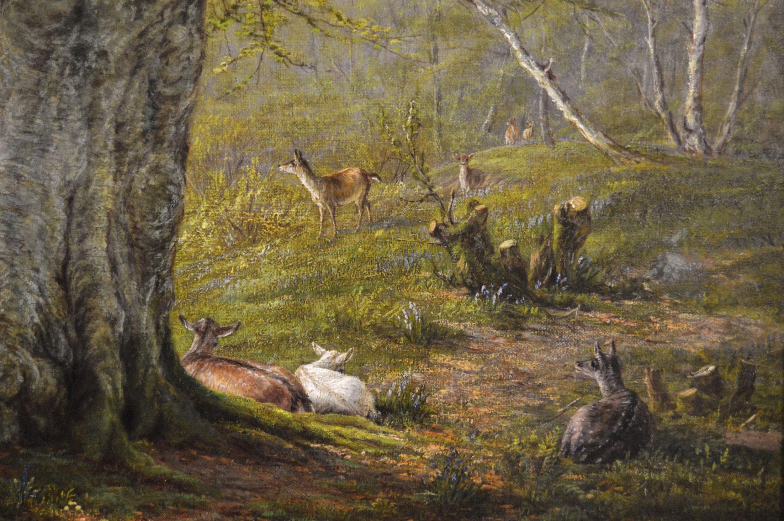 William Luker Snr
British, (1828-1905)
Fallow Deer in a Woodland	
Oil on canvas, signed & dated 1879
Image size: 19.5 inches x 31.5 inches 
Size including frame: 27 inches x 39 inches
Provenance: Tryon Gallery Ltd, London

A wonderful landscape