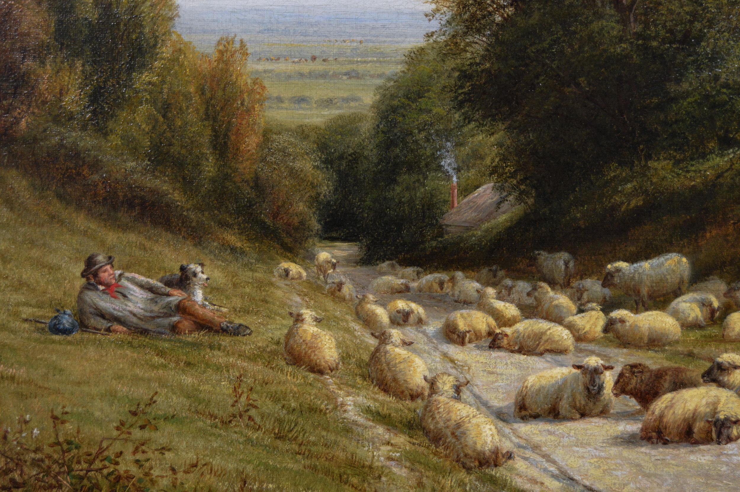 oil paintings of sheep