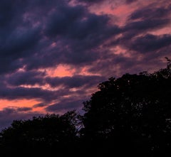 Purple Explosion, Original Cityscape Photography