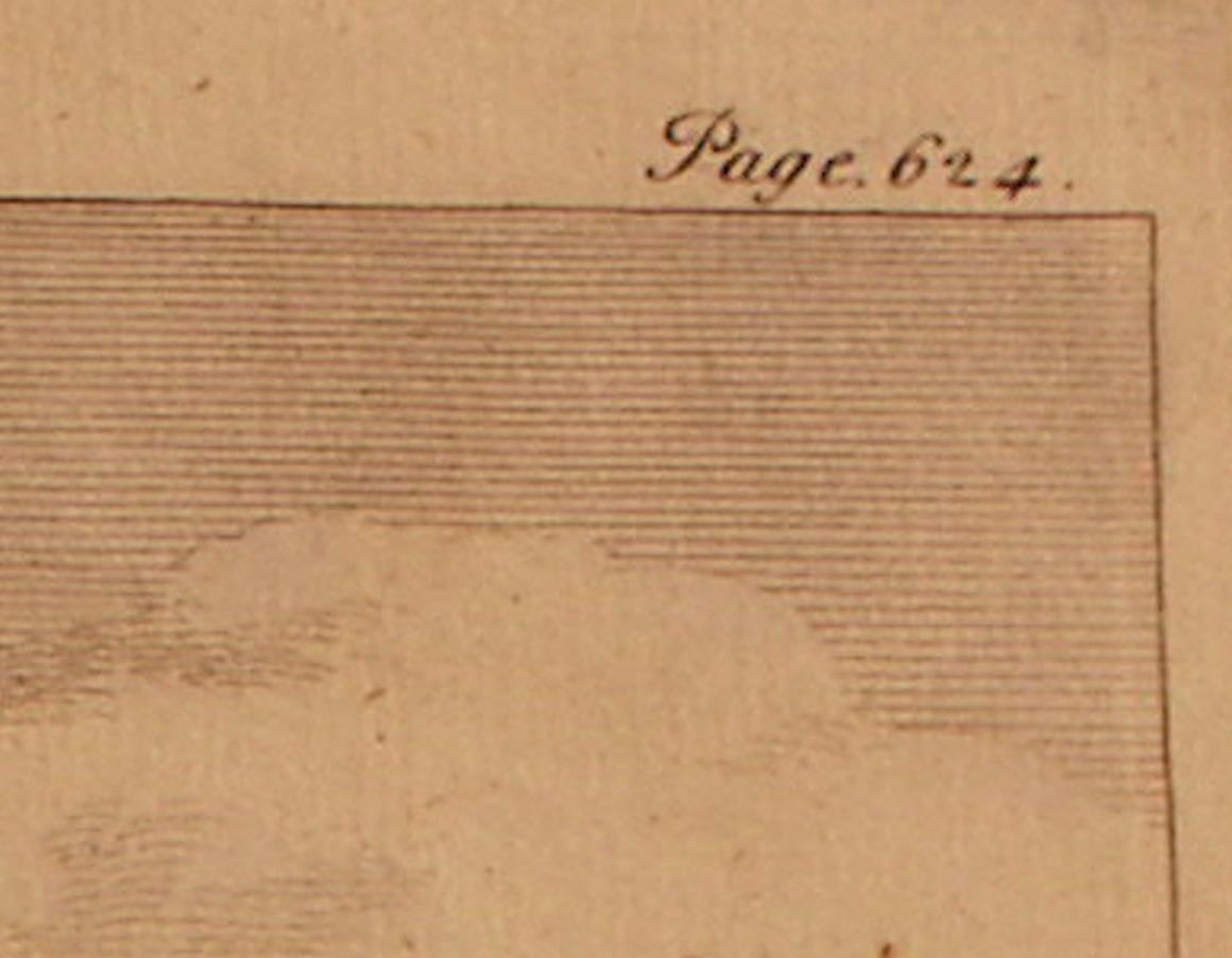 Druck, handkoloriert, Kupferplatte, graviert, London Bridge, William Maitland, 1739 im Angebot 6