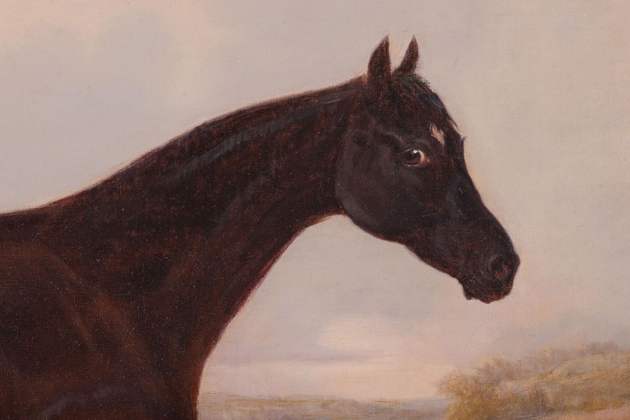 A vista de pájaro Un caballo de carreras. Antigua pintura al óleo sobre lienzo de William Malbon en venta 3