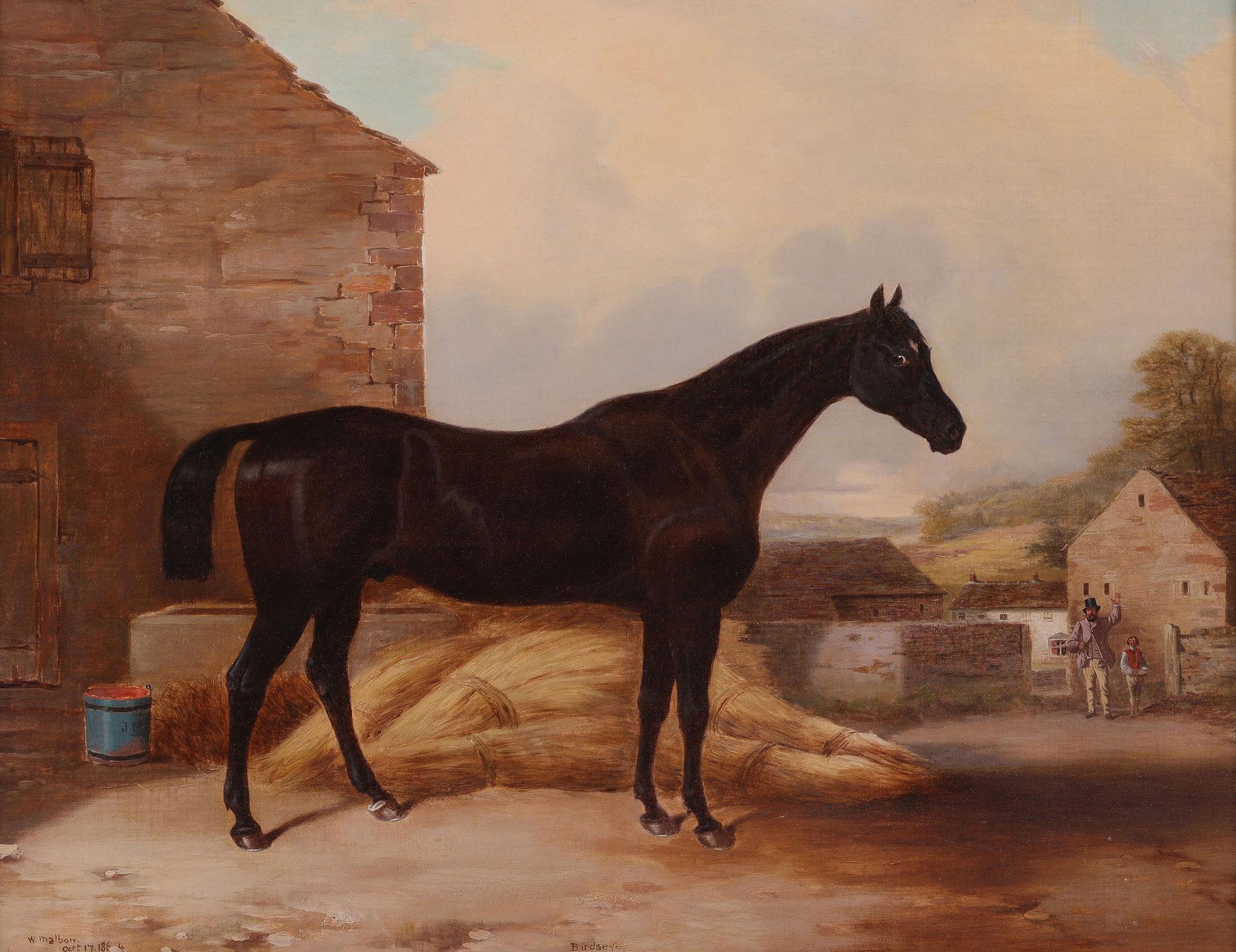 William MALBON (1805 - 1877)
Un óleo clásico de mediados del siglo XIX de un caballo de carreras.
Pintado sobre lienzo.
Esta pieza está maravillosamente titulada y claramente firmada y fechada. Evidentemente, es un caballo de  cierta reputación y es