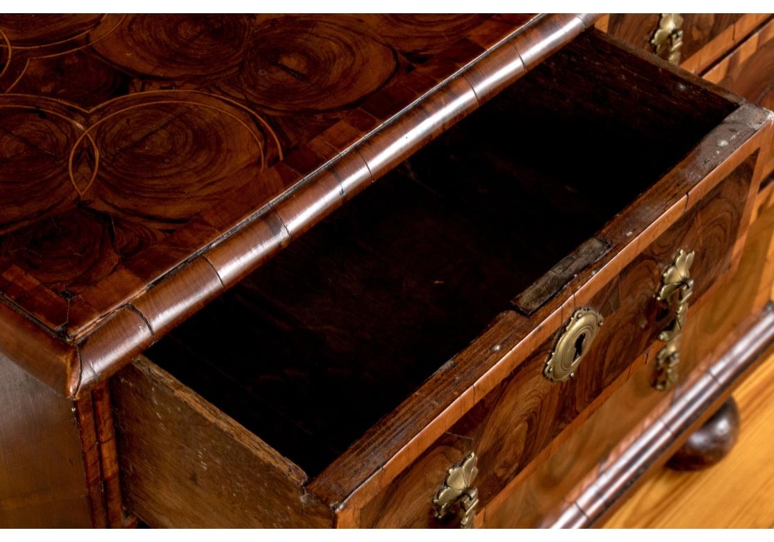 Burl William & Mary Oyster Veneered Walnut Chest Of Drawers - Circa 1680-1710 For Sale