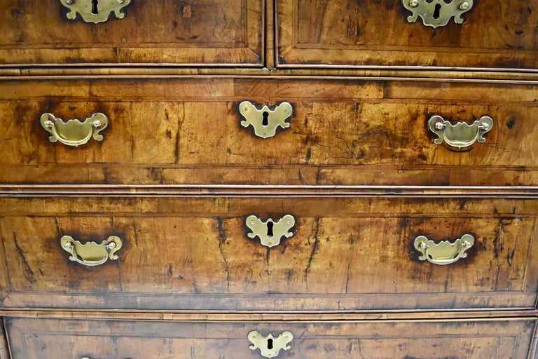 William And Mary Walnut Chest With Brass Drawer Pulls For Sale At