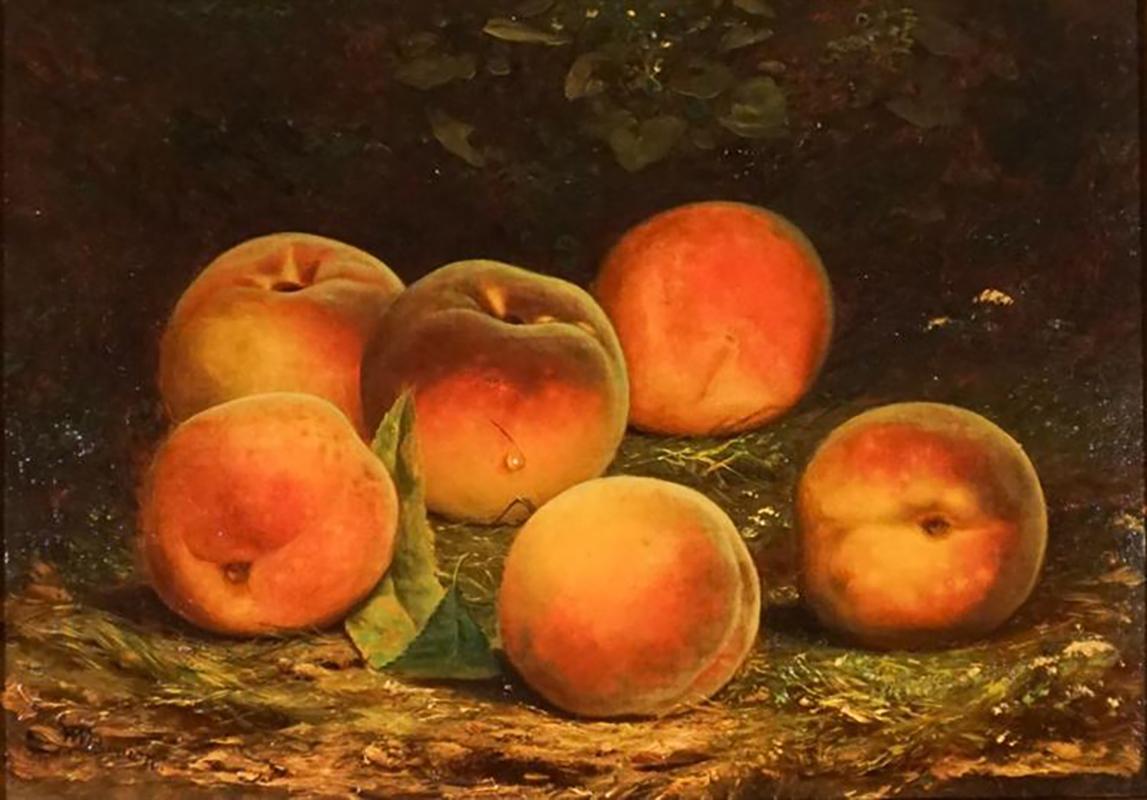 La Natura morta con pesche di William Mason Brown è una sontuosa celebrazione della bontà della natura, resa con squisita precisione e calore. Al centro della composizione, un gruppo di pesche mature poggia su una superficie strutturata, la cui