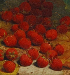 Fruits de pamplemousse extensibles sur un sol de forêt