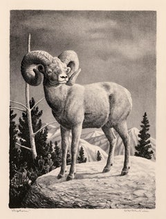 Bighorn" - Regionalismo americano de mediados de siglo