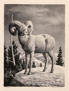 Vintage 'Bighorn' — 1940s American Regionalism