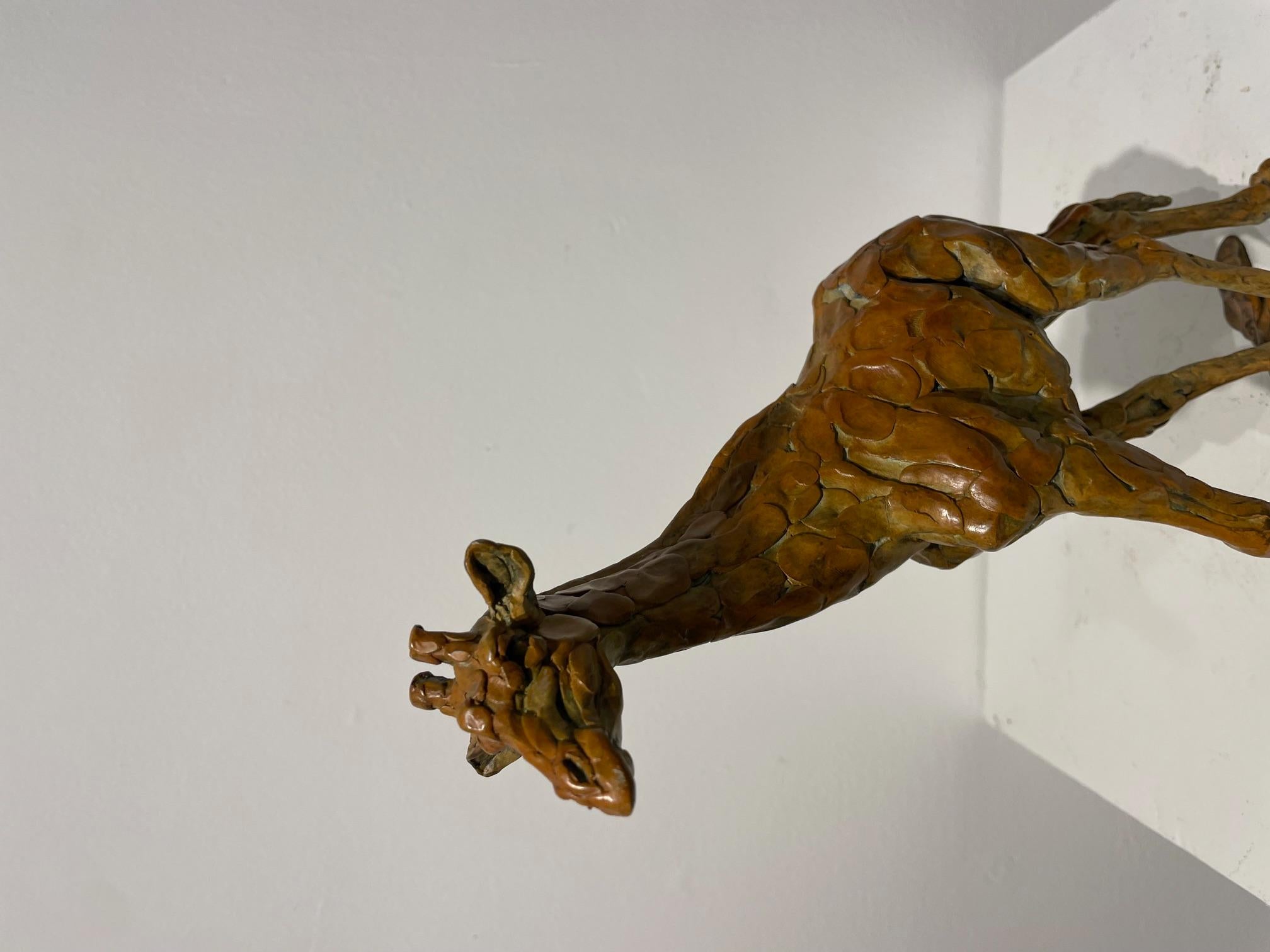 Un meraviglioso studio di una Giraffa che cammina creato e fuso nel Regno Unito dall'importante scultore William Montgomery. Quest'opera è ideale per la scrivania o il tavolino.  


Will è un abile scultore di animali che lavora principalmente con