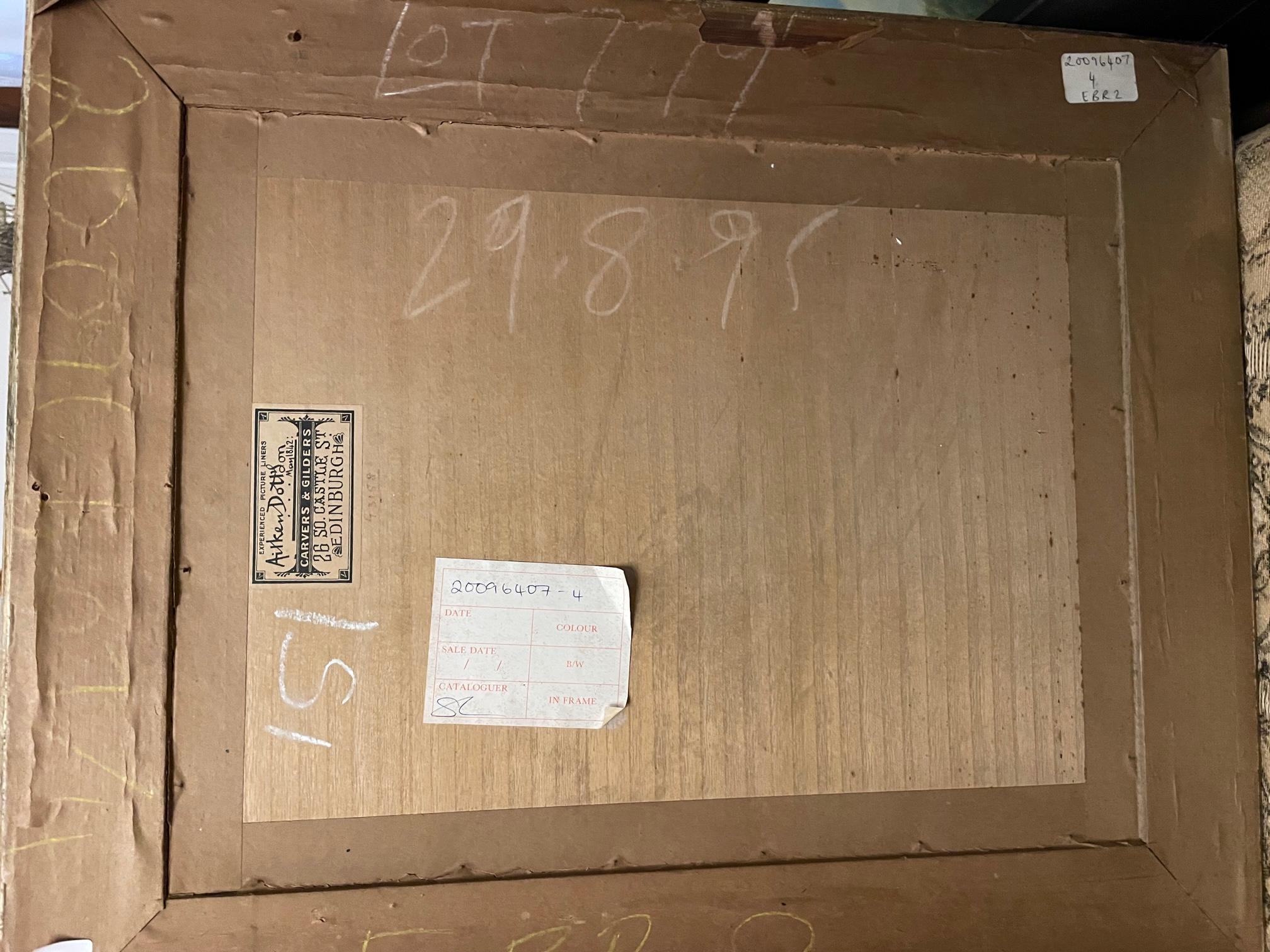 Treibende Rinder im Angebot 6