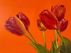 Tulipes hollandaises