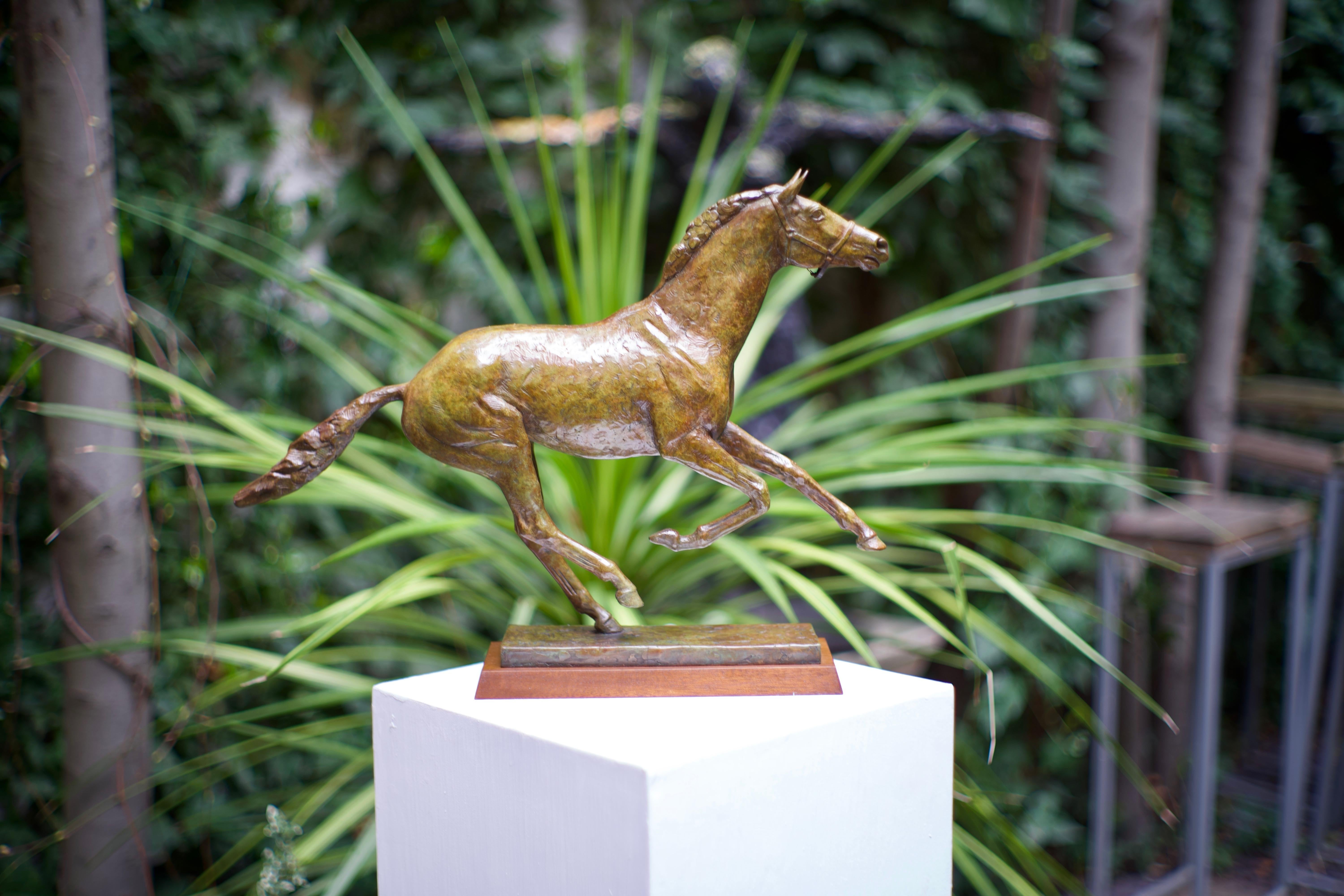 Canter - Bronze, Contemporary, Equestrian, Racing, Sporting - Sculpture by William Newton