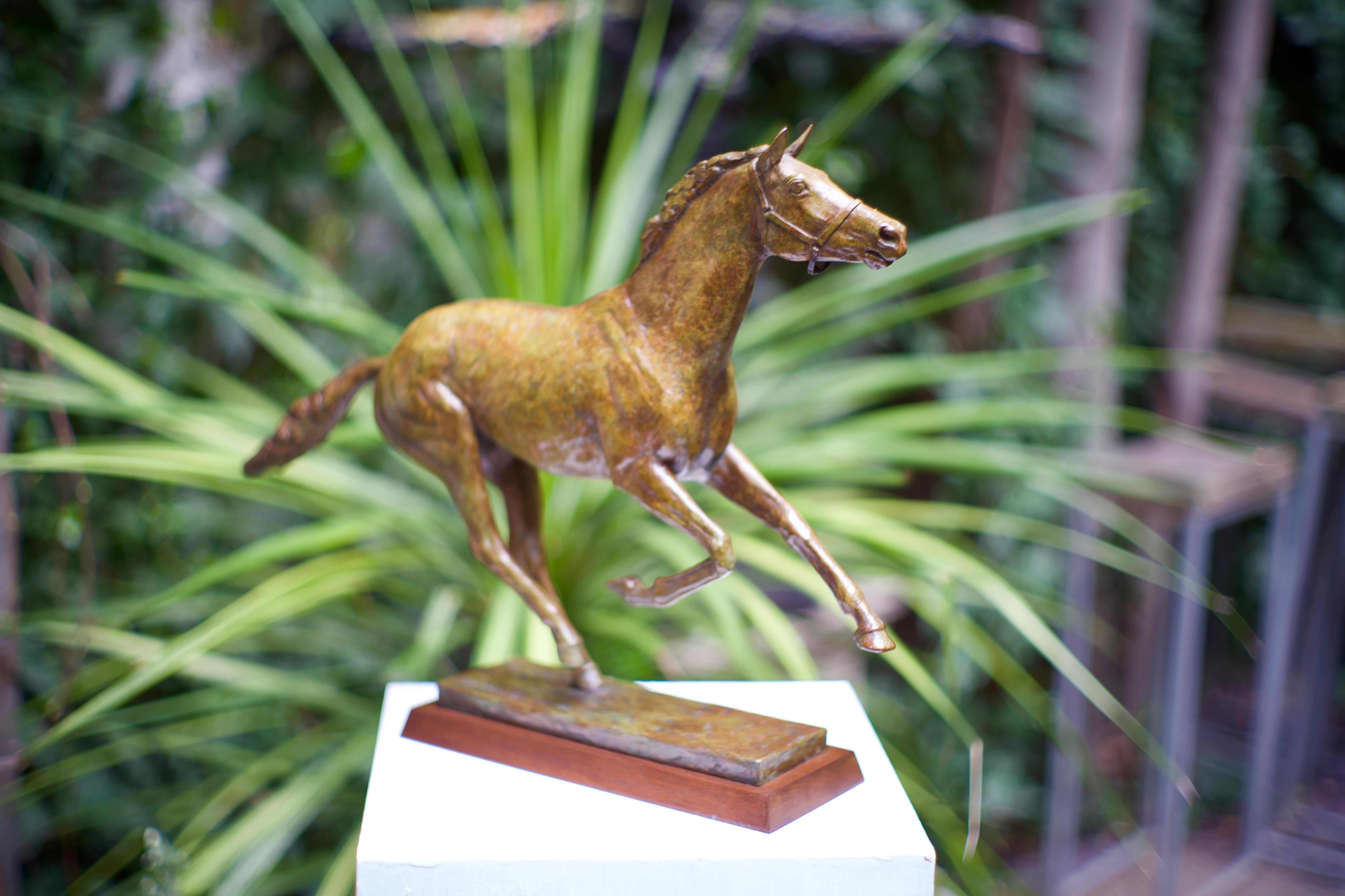 William Newton Figurative Sculpture - Canter - Bronze, Contemporary, Equestrian, Racing, Sporting