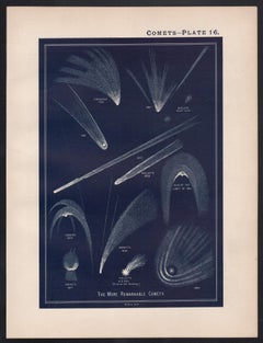 Comets. Antique Astronomy print