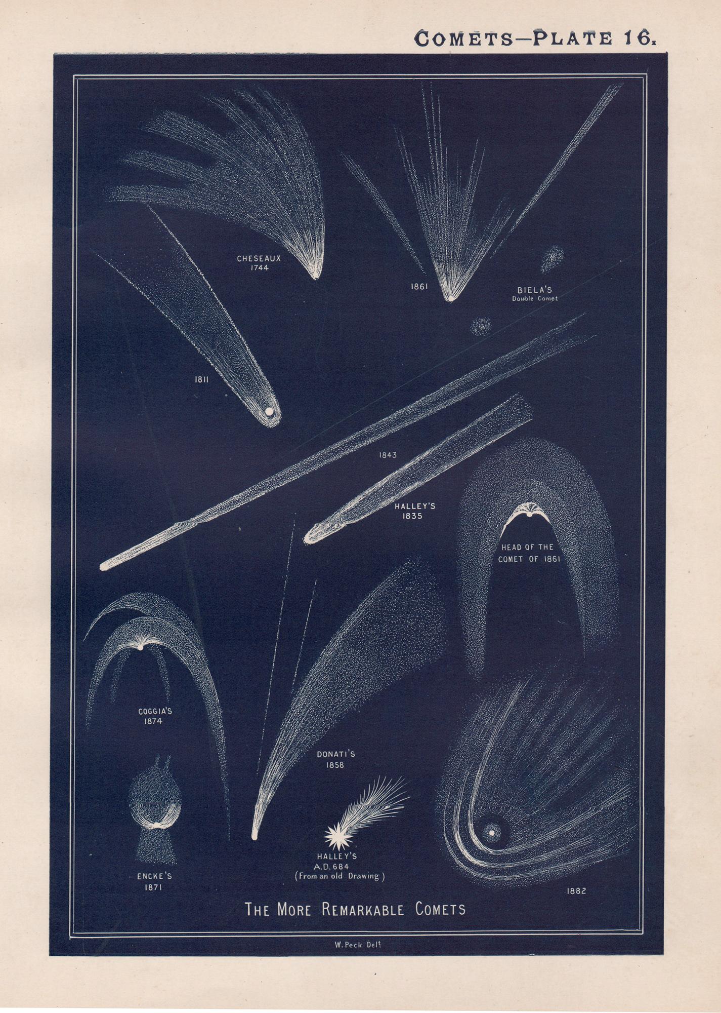 William Peck Print - Comets. Antique Astronomy print