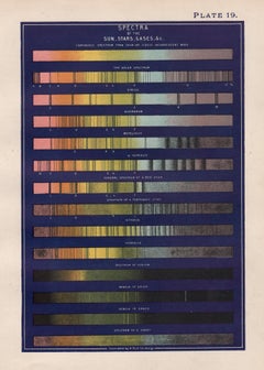 Spectra of the Sun, Stars, Gases & c. Antique Astronomy science print