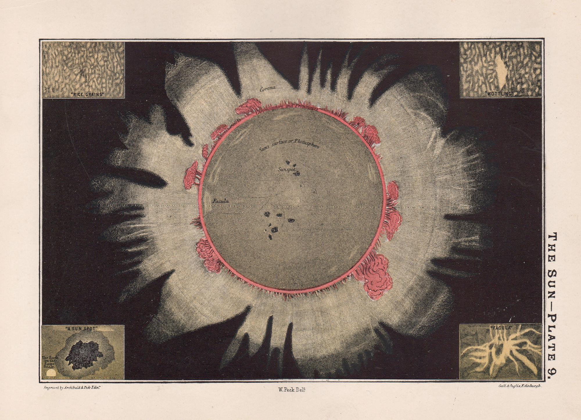 William Peck Print – The Sun. Antiker Astronomie-Druck