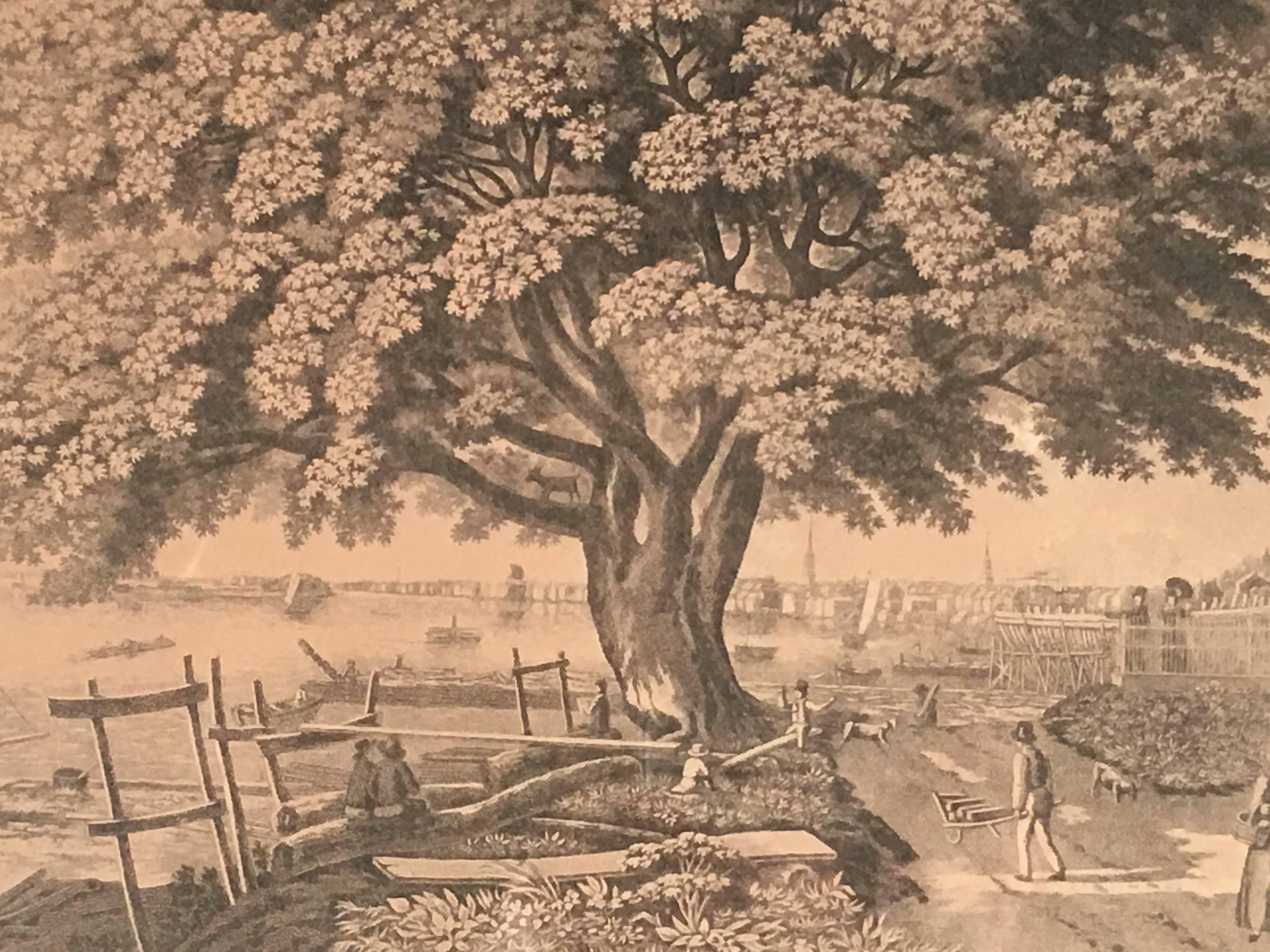 A mid-19th century print entitled The Great Elm Tree of Shackamaxon Now Kensington (Pennsylvania), under which William Penn concluded his treaty with the Indians in 1682.
This scene was both painted and engraved by George Lehman, who based his