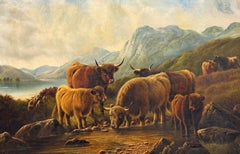 Fine Victorian Highland Landscape Cattle & Calfs Drinking at Mountain Stream (Bovins et veaux s'abreuvant à un ruisseau de montagne)