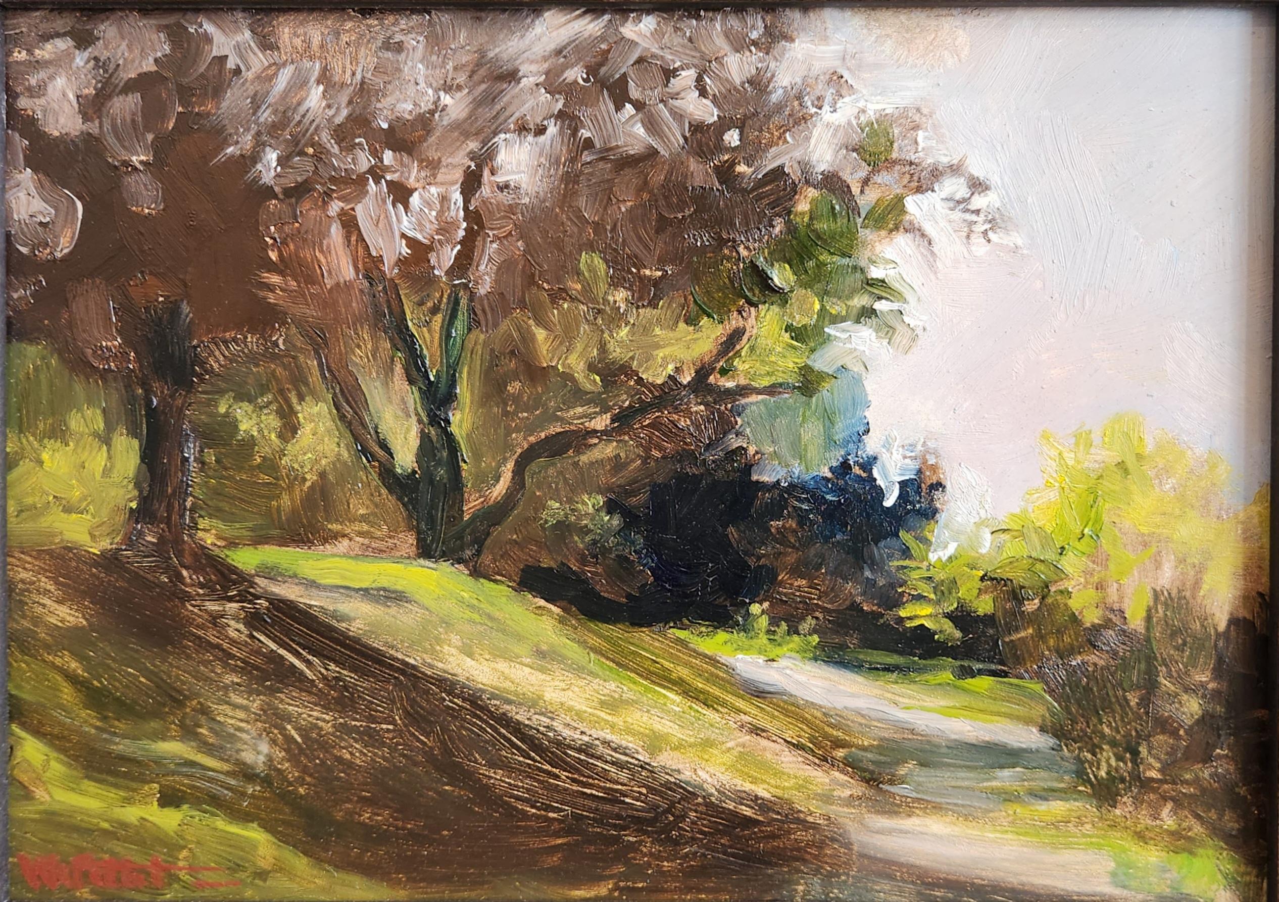 This oil on canvas painting shows a beautiful scene of Washington Park in Albany, NY, designed by the famous Frederick Olmsted. The bright greens of sunlit grass cut through deep brown shadows made by the trees. Light pink and beige leaves create a