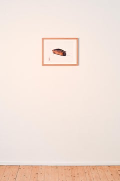 iPad drawing of pencil case and knitting needle, printed on paper