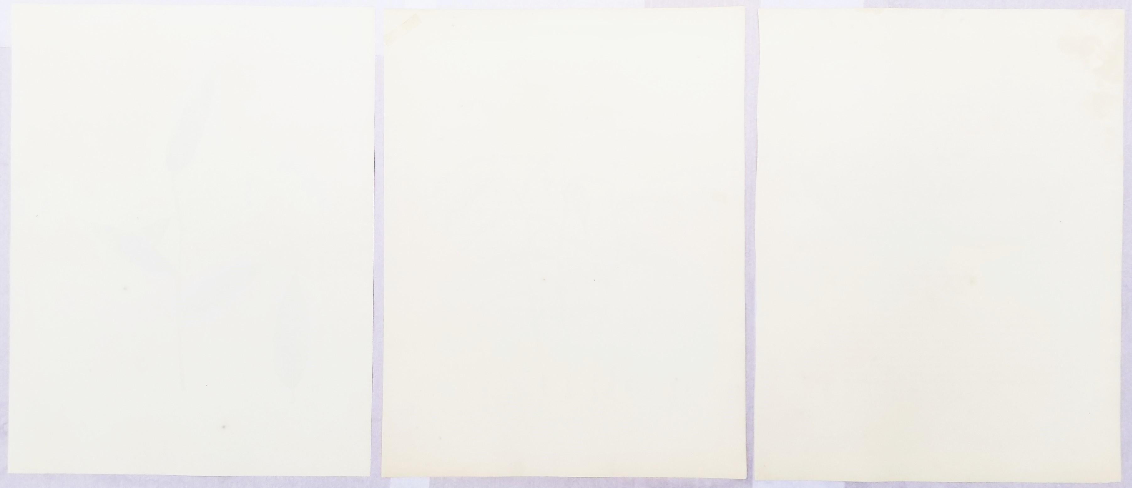 Conjunto de tres litografías coloreadas a mano de 