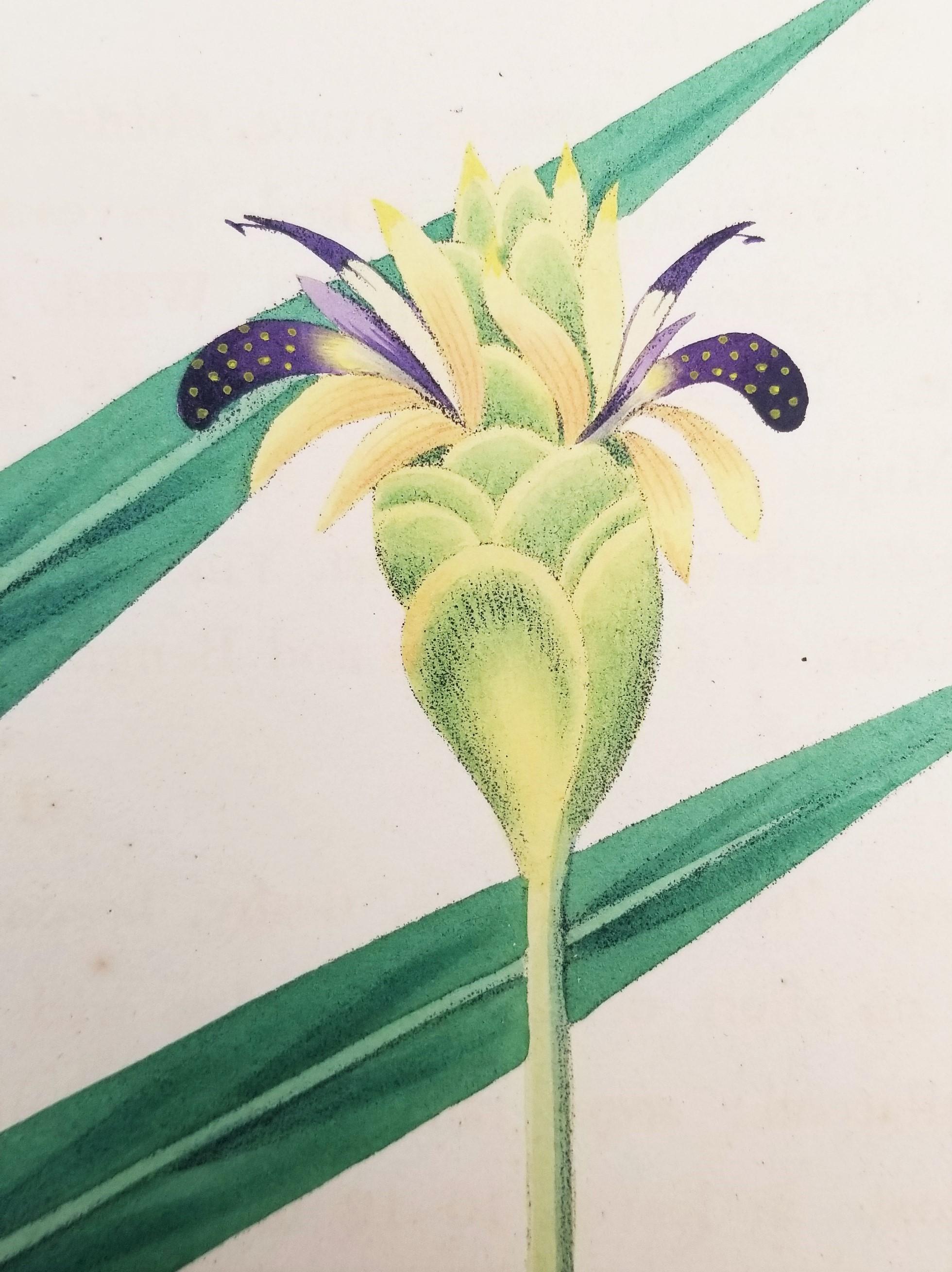 Set of Two Hand-Colored Lithographs from Roscoe's 