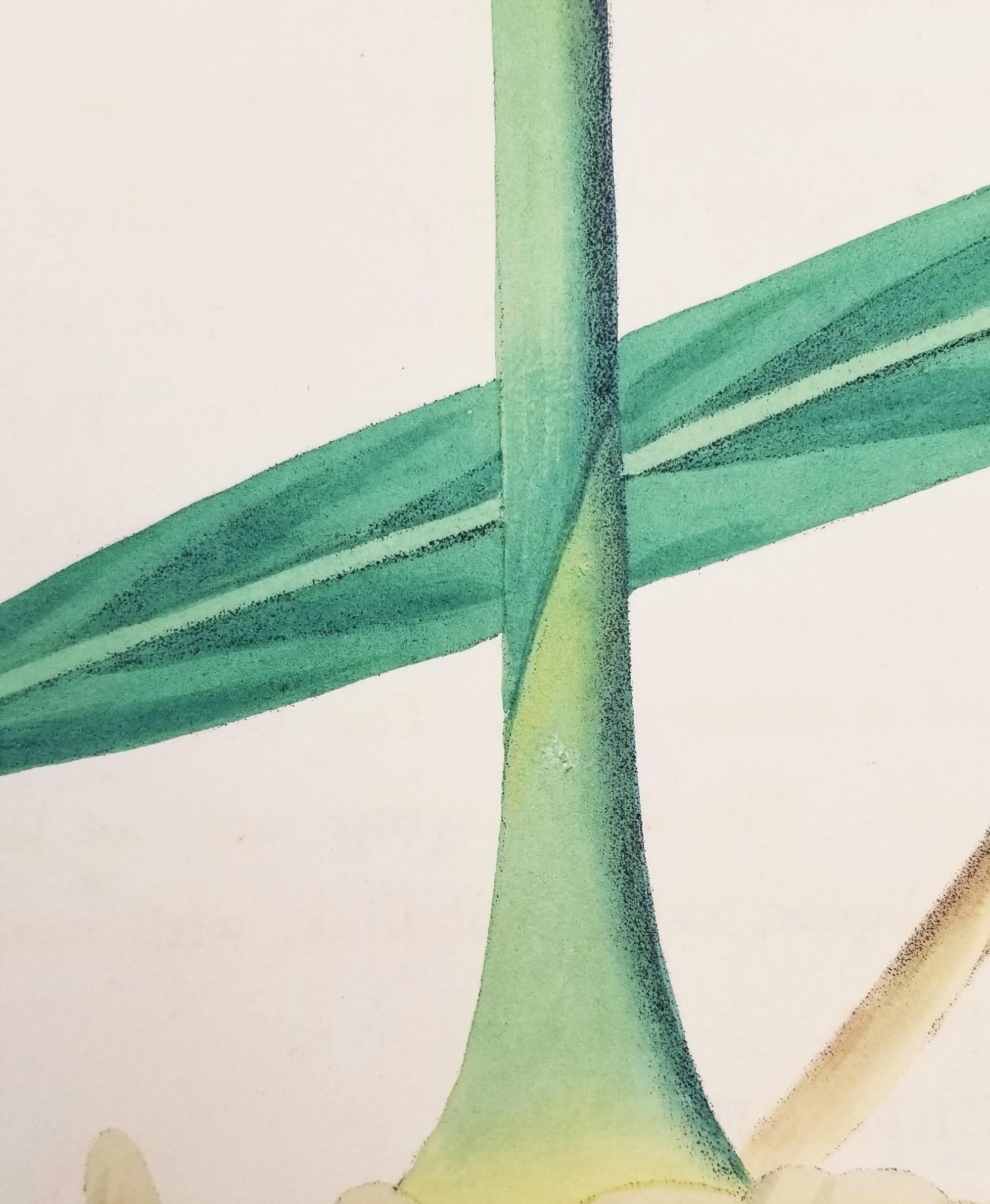 Set of Two Hand-Colored Lithographs from Roscoe's 