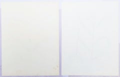 Set of Two Hand-Colored Lithographs from Roscoe's "Monandrian Plants" /// Botany