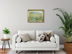 Campo de coles en Francia, verano