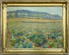 Kohlfeld in Frankreich, Sommer