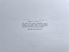 Vernachlässigter Garten, Taxco Mexico - Reben durch den Sichtschutz