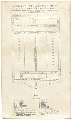 William Seaward in Defence of William Freeman, on His Trial for Murder - 1846